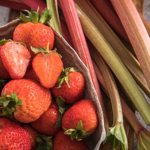 Erdbeeren und Rhabarber