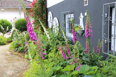 Im Garten von Domingo Vazquez