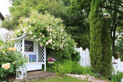 Im Garten von Domingo Vazquez