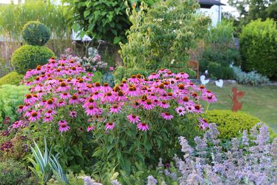 Im Garten von Domingo Vazquez