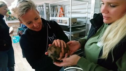 Simone Reuthal hält einen kleinen Igel bei der Wildtierhilfe Schäfer in Mücke.