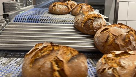 hr1 packts an in der Bäckerei Amthor in Hofgeismar.