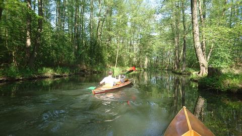 Kanufahren im Spreewald