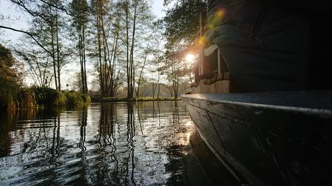 Spreewald