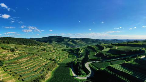 Texaspass am Kaiserstuhl mit Blick auf die Weinberge