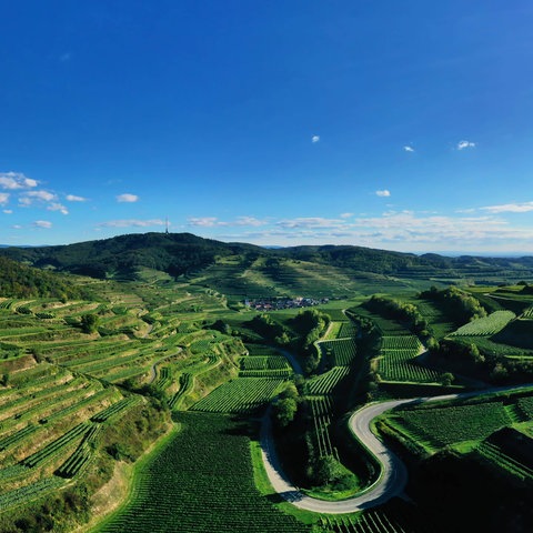 Texaspass am Kaiserstuhl mit Blick auf die Weinberge